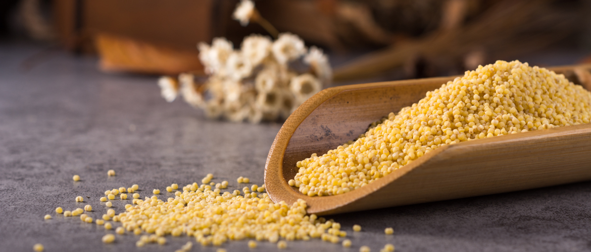 Why Millets Deserve a Place on Your Plate – Health, Tradition & Taste